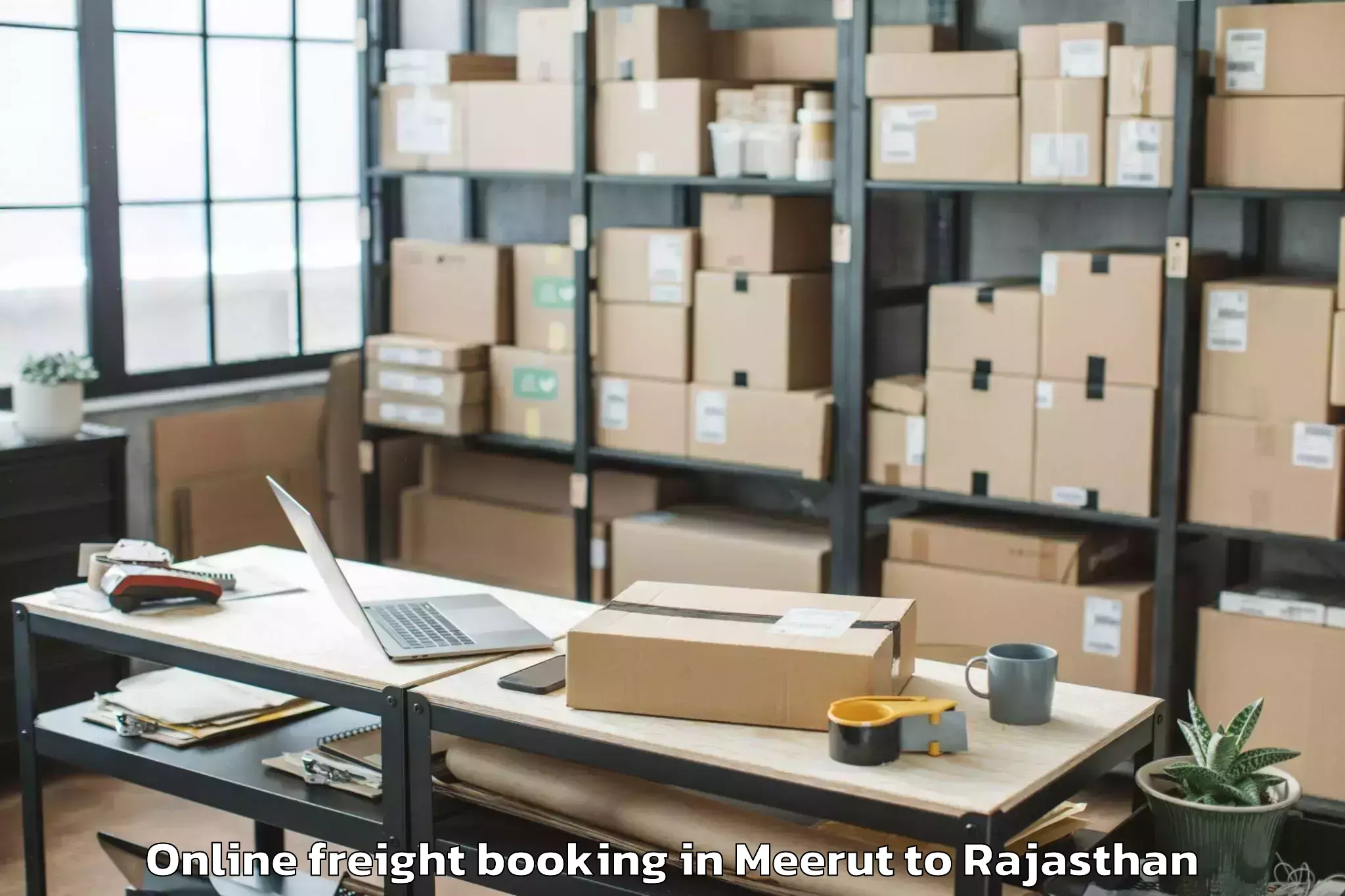 Professional Meerut to Chechat Online Freight Booking